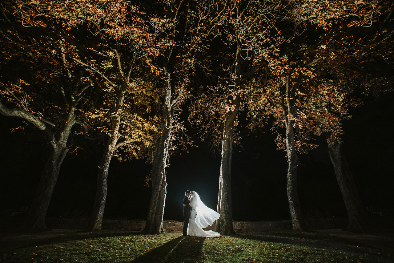 Dvorec Zemono - Wedding photography