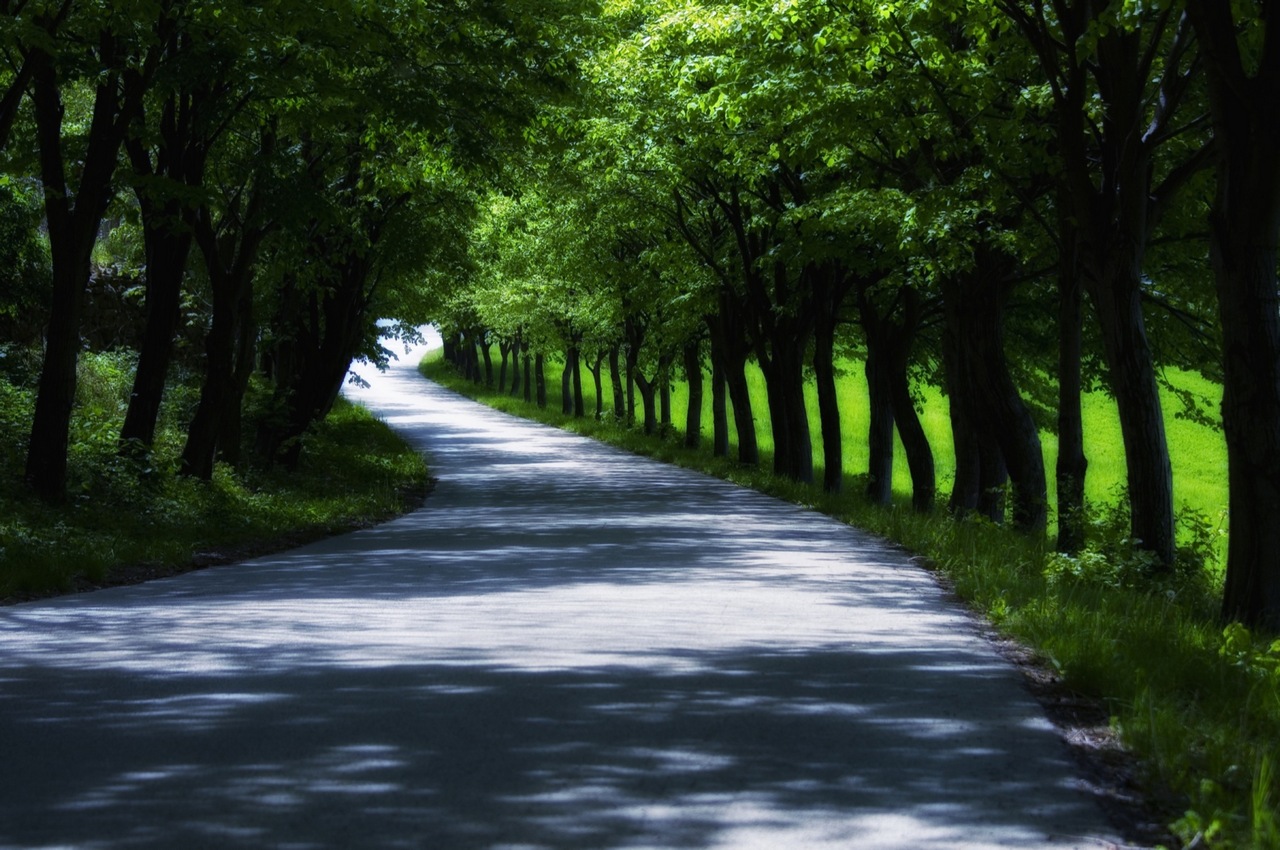 Dvorec Zemono - Where can you find us